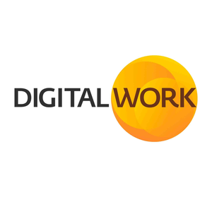 DIGITAL WORK COMPUTER SERVICE COMERCIAL LTDA Vagas