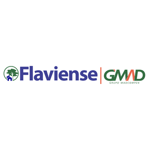 FLAVIENSE DO BRASIL CONSULTORIA E SERVICOS LTDA Vagas