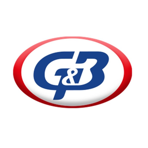 G&B AUTO PEÇAS ALTERNATIVAS LTDA Vagas