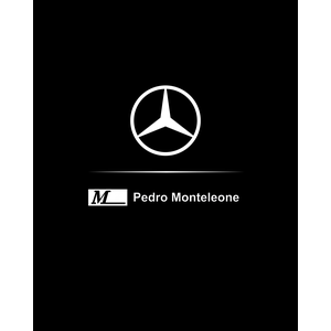 PEDRO MONTELEONE VEICULOS E MOTORES LIMITADA Vagas