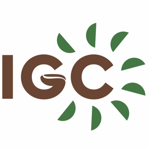 IGC Vagas