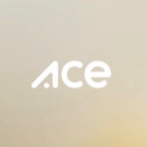 Lojas ACE Vagas