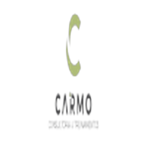 Carmo Consultoria e Treinamentos Vagas