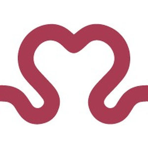 Instituto Social Mais Saúde Vagas